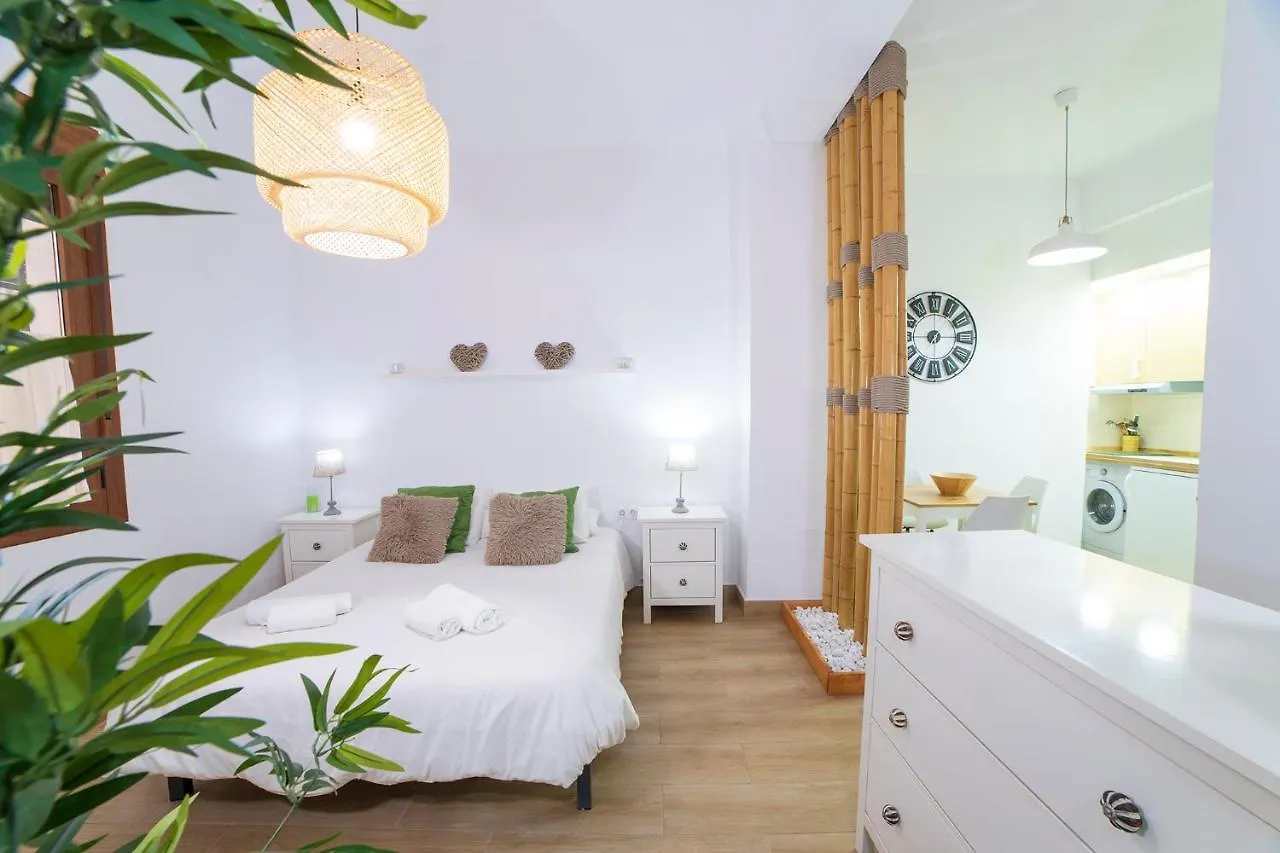Nice Loft In Malaga Historical Center Apartment
